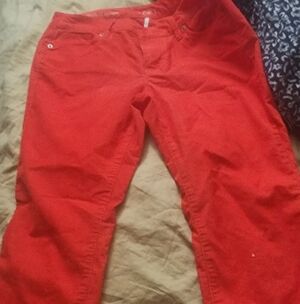 LOFT Straight Leg Pants in Bright Red